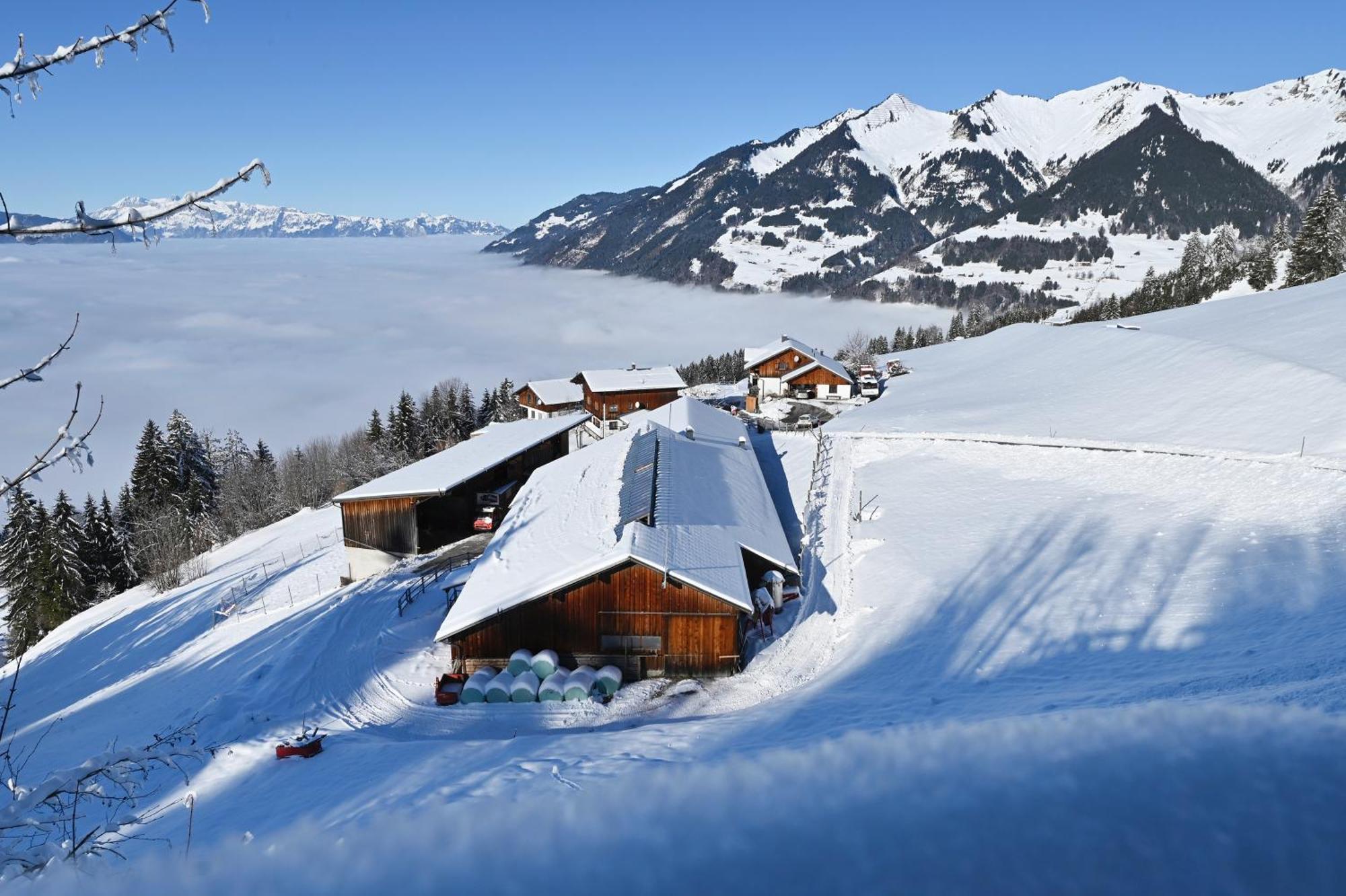 Berghof Burtscher Ludesch Exteriör bild
